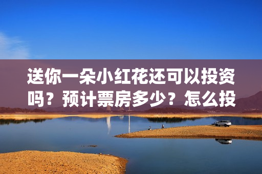 送你一朵小红花还可以投资吗？预计票房多少？怎么投资？(送你一朵小红花电影)