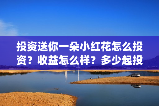 投资送你一朵小红花怎么投资？收益怎么样？多少起投？(投资送你一朵小红花好看吗)