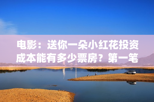 电影：送你一朵小红花投资成本能有多少票房？第一笔分红多久？(电影送你一朵小红花完整版免费观看)