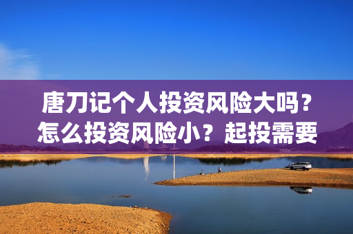 唐刀记个人投资风险大吗？怎么投资风险小？起投需要门槛吗？(唐刀纪录片视频)