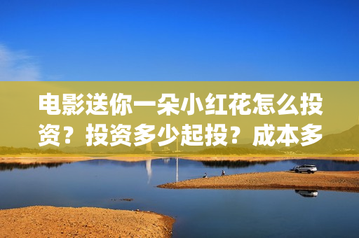 电影送你一朵小红花怎么投资？投资多少起投？成本多少？(电影送你一朵小红花主题曲)