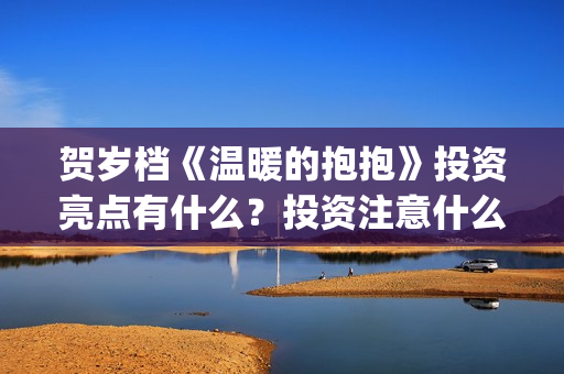 贺岁档《温暖的抱抱》投资亮点有什么？投资注意什么事项？多少钱一份？(贺岁片温暖的抱抱)