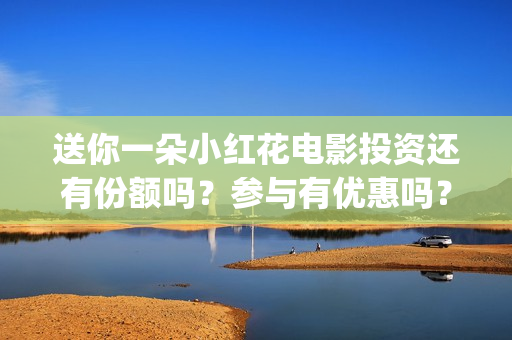 送你一朵小红花电影投资还有份额吗？参与有优惠吗？(送你一朵小红花歌词)