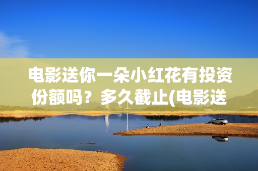 电影送你一朵小红花有投资份额吗？多久截止(电影送你一朵小红花简介)