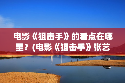 电影《狙击手》的看点在哪里？(电影《狙击手》张艺谋)