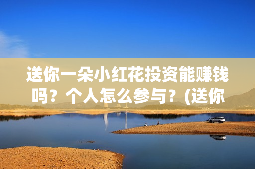 送你一朵小红花投资能赚钱吗？个人怎么参与？(送你一朵小红花简谱)