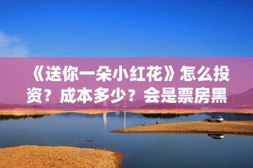 《送你一朵小红花》怎么投资？成本多少？会是票房黑马吗？ (送你一朵小红花电影免费观看)