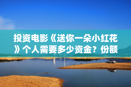 投资电影《送你一朵小红花》个人需要多少资金？份额占比多少？(送你票房一朵小红花演员表)