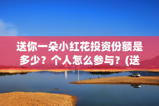 送你一朵小红花投资份额是多少？个人怎么参与？(送你一朵小红花 歌曲)