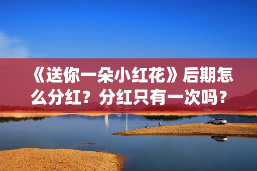 《送你一朵小红花》后期怎么分红？分红只有一次吗？(送你一朵小红花歌词表达什么意思)