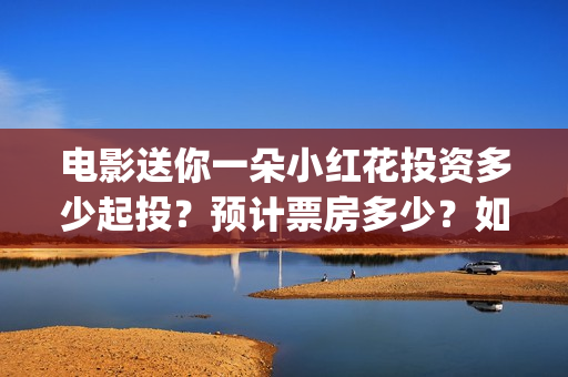 电影送你一朵小红花投资多少起投？预计票房多少？如何参与？(电影送你一朵小红花简介)