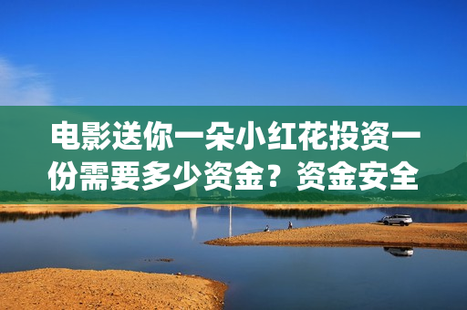 电影送你一朵小红花投资一份需要多少资金？资金安全怎么保障？(电影送你一朵小红花简介)