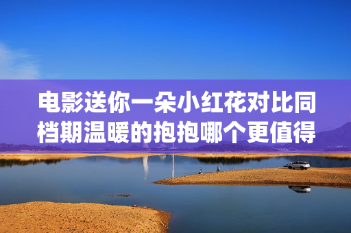 电影送你一朵小红花对比同档期温暖的抱抱哪个更值得投资？(电影送你一朵小红花剧情介绍)