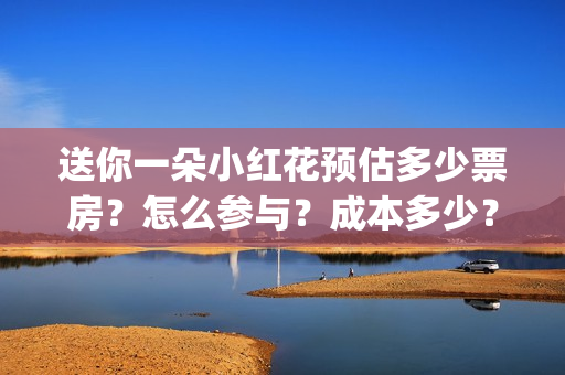 送你一朵小红花预估多少票房？怎么参与？成本多少？ (送你一朵小红花电影免费观看)