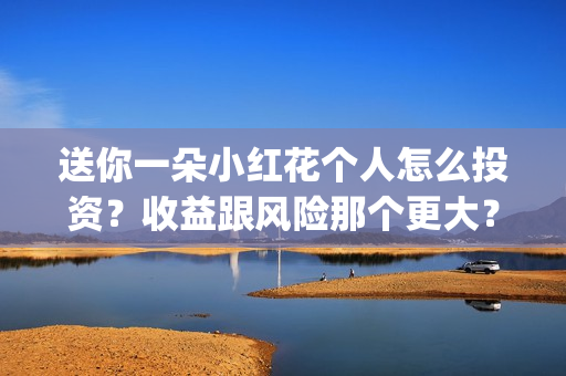 送你一朵小红花个人怎么投资？收益跟风险那个更大？靠谱吗？(送你一朵小红花歌词表达什么意思)