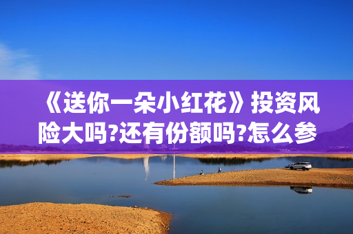 《送你一朵小红花》投资风险大吗?还有份额吗?怎么参与(送你一朵小红花原唱)