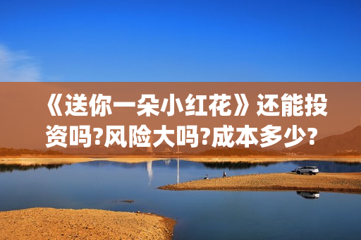 《送你一朵小红花》还能投资吗?风险大吗?成本多少?(送你一朵小红花)
