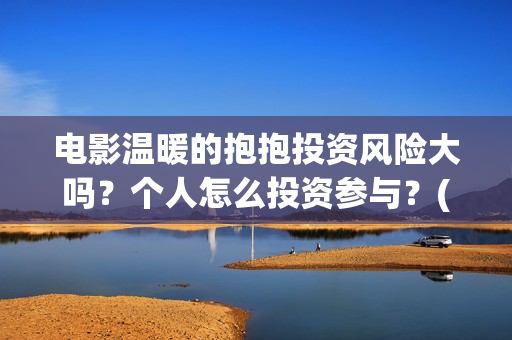 电影温暖的抱抱投资风险大吗？个人怎么投资参与？(电影温暖的抱抱小人)