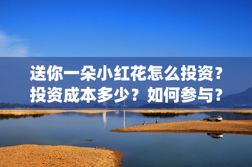 送你一朵小红花怎么投资？投资成本多少？如何参与？(送你一朵小红花电影剧情介绍)