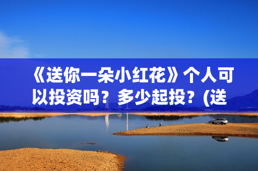 《送你一朵小红花》个人可以投资吗？多少起投？(送你一朵小红花免费观看完整版)