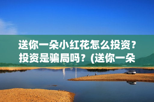 送你一朵小红花怎么投资？投资是骗局吗？(送你一朵小红花简谱)
