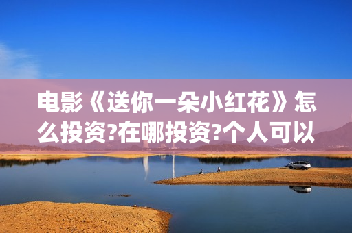 电影《送你一朵小红花》怎么投资?在哪投资?个人可以投资吗(电影《送你一朵小红花》的导演和主演)