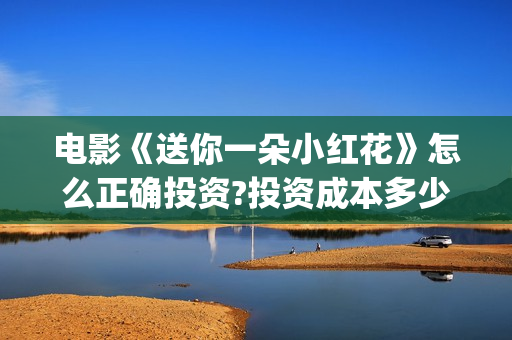 电影《送你一朵小红花》怎么正确投资?投资成本多少?(电影送你一朵小红花演员表)