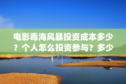 电影毒海风暴投资成本多少？个人怎么投资参与？多少起投？(毒海风暴 电影)