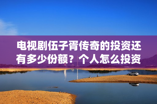 电视剧伍子胥传奇的投资还有多少份额？个人怎么投资？(电视剧伍子胥传奇)