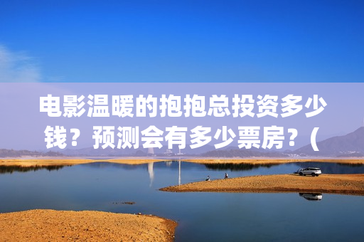 电影温暖的抱抱总投资多少钱？预测会有多少票房？(电影温暖的抱抱剧情介绍)