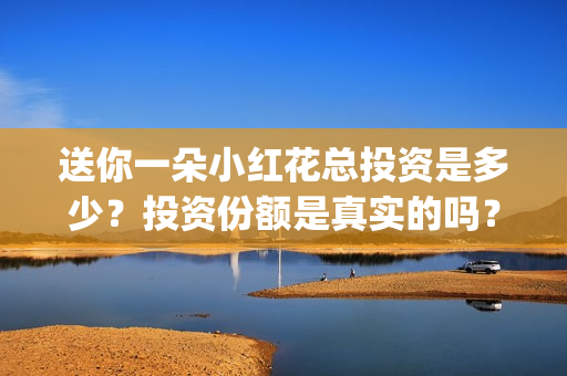送你一朵小红花总投资是多少？投资份额是真实的吗？(送你一朵小红花歌词表达什么意思)