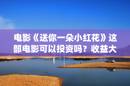 电影《送你一朵小红花》这部电影可以投资吗？收益大大不大(电影《送你一朵小红花》)