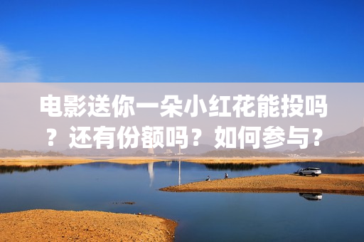 电影送你一朵小红花能投吗？还有份额吗？如何参与？(电影送你一朵小红花演员表)