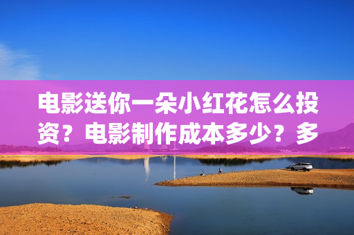 电影送你一朵小红花怎么投资？电影制作成本多少？多少起投？(电影送你一朵小花)