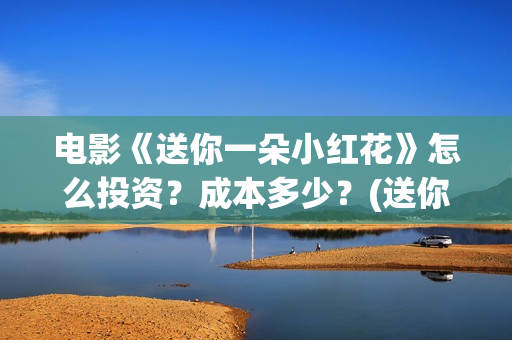 电影《送你一朵小红花》怎么投资？成本多少？(送你一朵 ed2k)