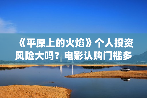 《平原上的火焰》个人投资风险大吗？电影认购门槛多少？(平原上的火焰豆瓣评分)
