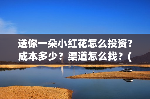 送你一朵小红花怎么投资？成本多少？渠道怎么找？(送你一朵小红花电影剧情介绍)