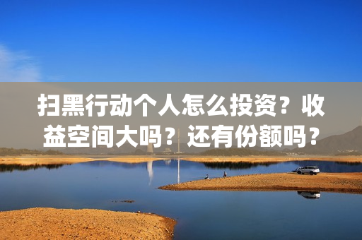 扫黑行动个人怎么投资？收益空间大吗？还有份额吗？(扫黑行动简介)