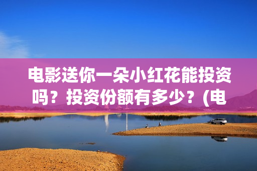 电影送你一朵小红花能投资吗？投资份额有多少？(电影送你一朵小红花演员表)