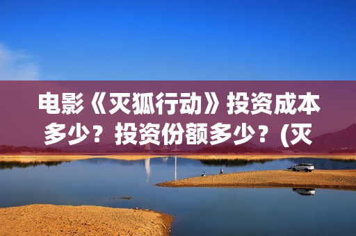 电影《灭狐行动》投资成本多少？投资份额多少？(灭狐行动最近消息)