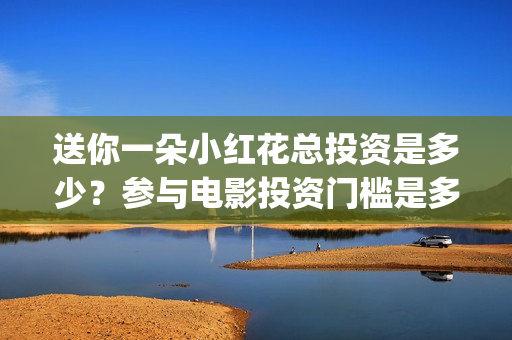 送你一朵小红花总投资是多少？参与电影投资门槛是多少？(送你一朵小红花简谱)