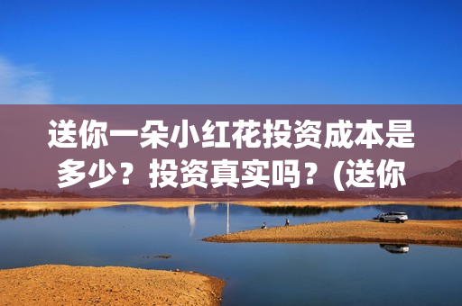 送你一朵小红花投资成本是多少？投资真实吗？(送你一朵小红花电影免费观看)
