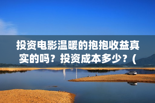 投资电影温暖的抱抱收益真实的吗？投资成本多少？(电影温暖的作文)