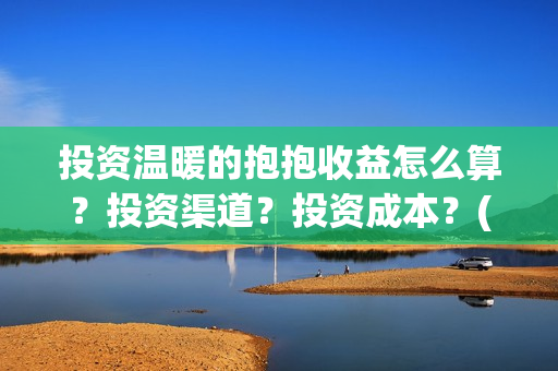 投资温暖的抱抱收益怎么算？投资渠道？投资成本？(温暖的抱抱投资商)