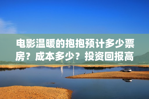 电影温暖的抱抱预计多少票房？成本多少？投资回报高吗？(电影温暖的抱抱歌曲)
