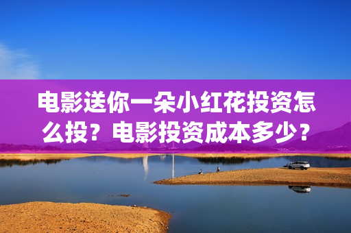 电影送你一朵小红花投资怎么投？电影投资成本多少？(电影送你一朵小红花豆瓣评分)