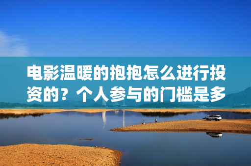电影温暖的抱抱怎么进行投资的？个人参与的门槛是多少？(电影温暖的抱抱在线观看)