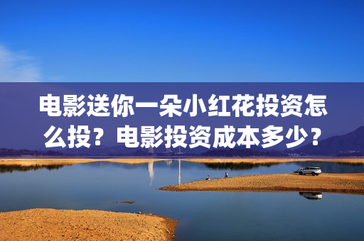 电影送你一朵小红花投资怎么投？电影投资成本多少？(电影送你一朵小红花演员表)