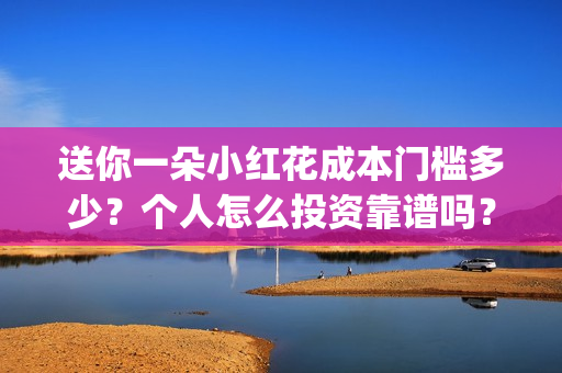 送你一朵小红花成本门槛多少？个人怎么投资靠谱吗？(送你一朵小红花歌词)