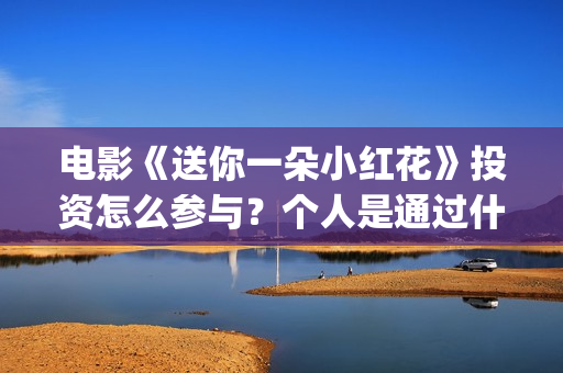 电影《送你一朵小红花》投资怎么参与？个人是通过什么途径投资？(电影送你一朵小红花完整版免费观看)